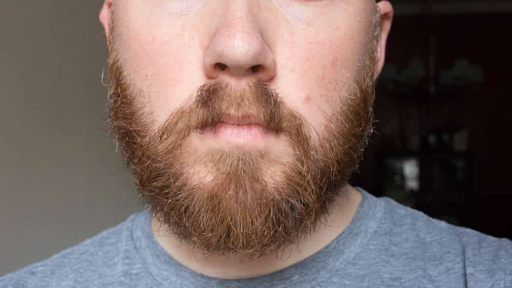 scissors or trimmer for beard